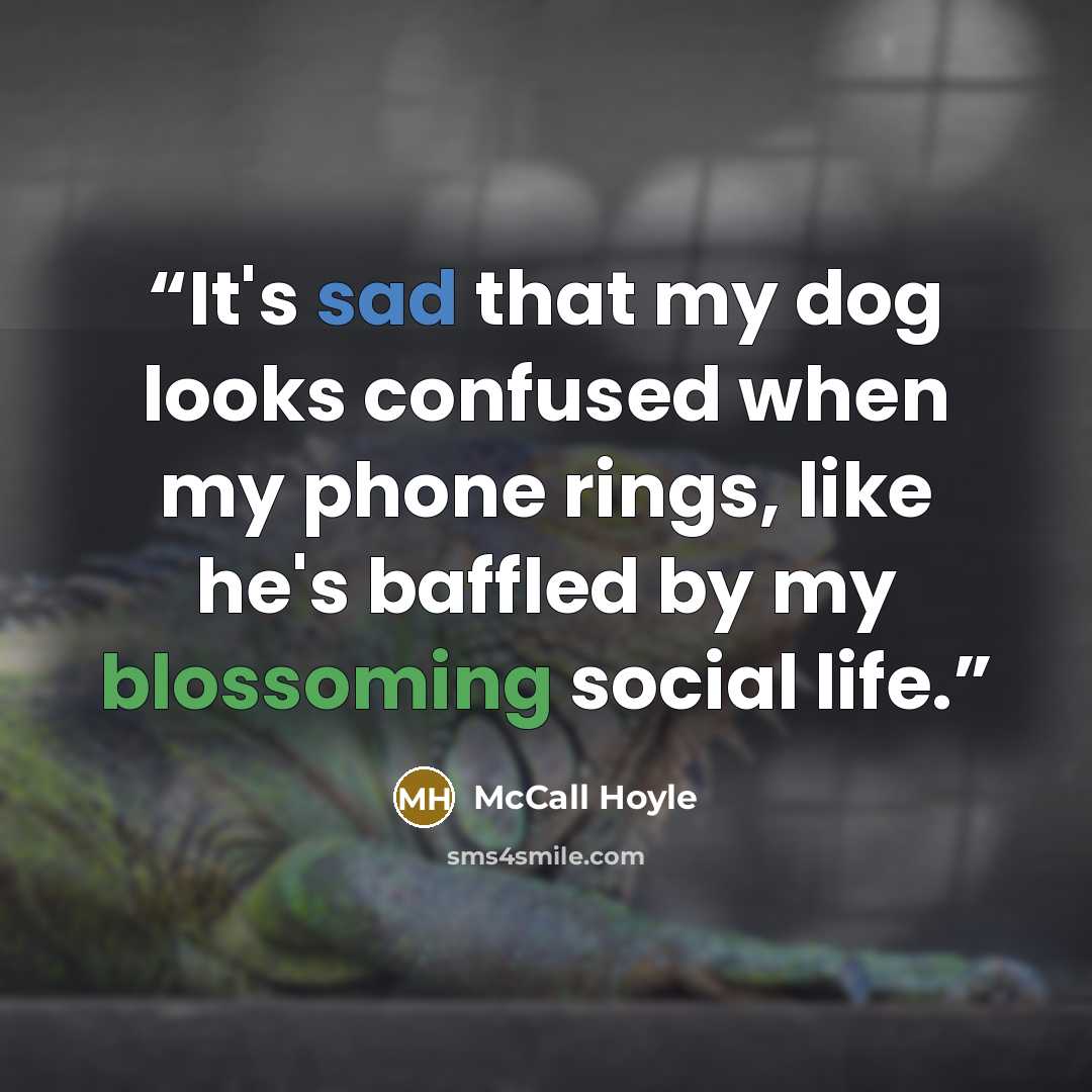 “It's sad that my dog looks confused when my phone rings, like he's baffled by my blossoming social life.” quote by McCall Hoyle