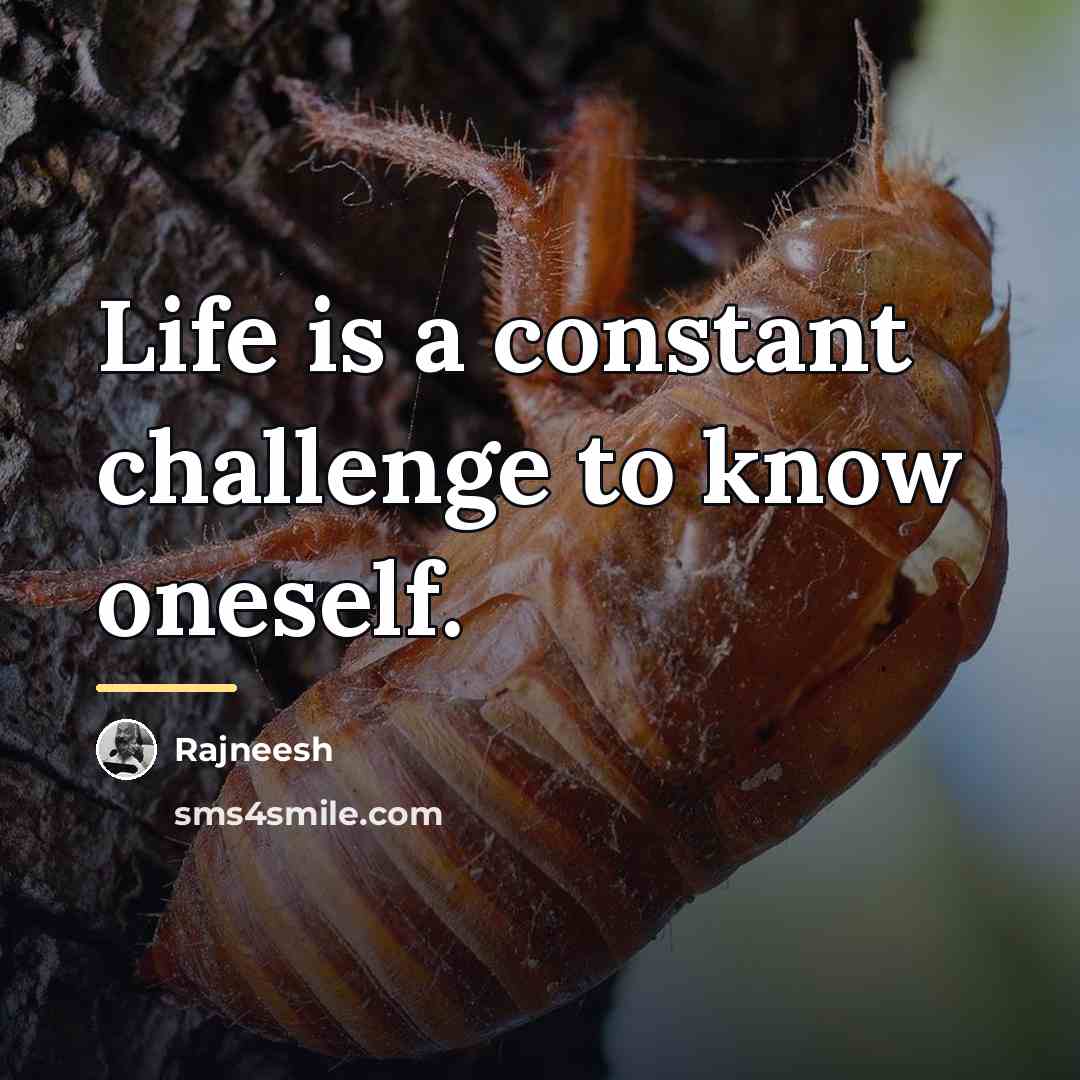 “Life is a constant challenge to know oneself.…” quote by Rajneesh