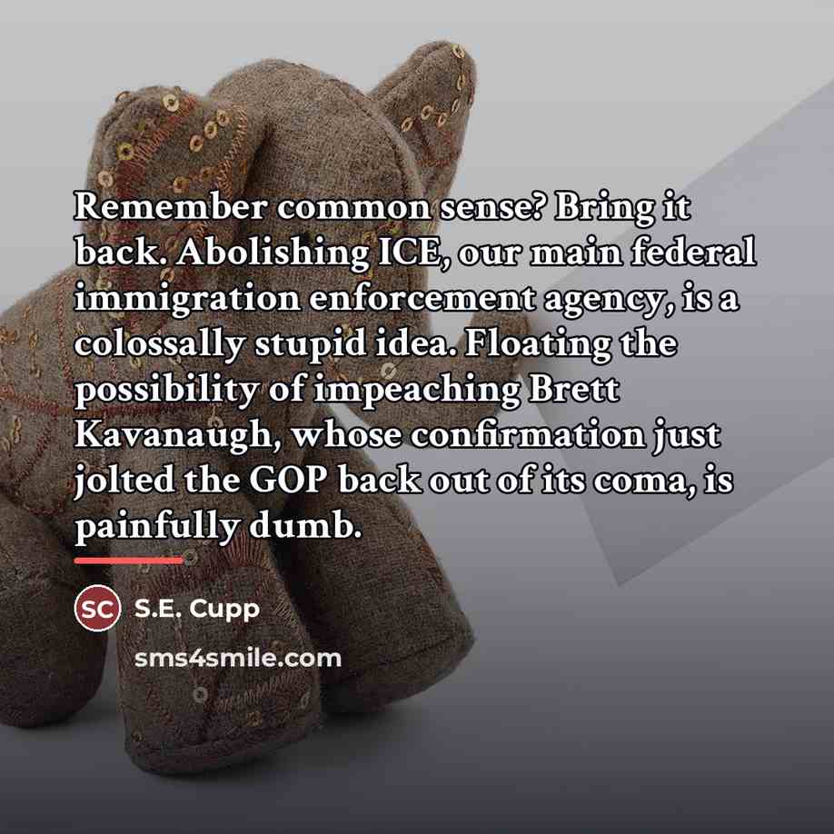 “Remember common sense? Bring it back. Abolishing ICE, our main…” quote by S.E. Cupp