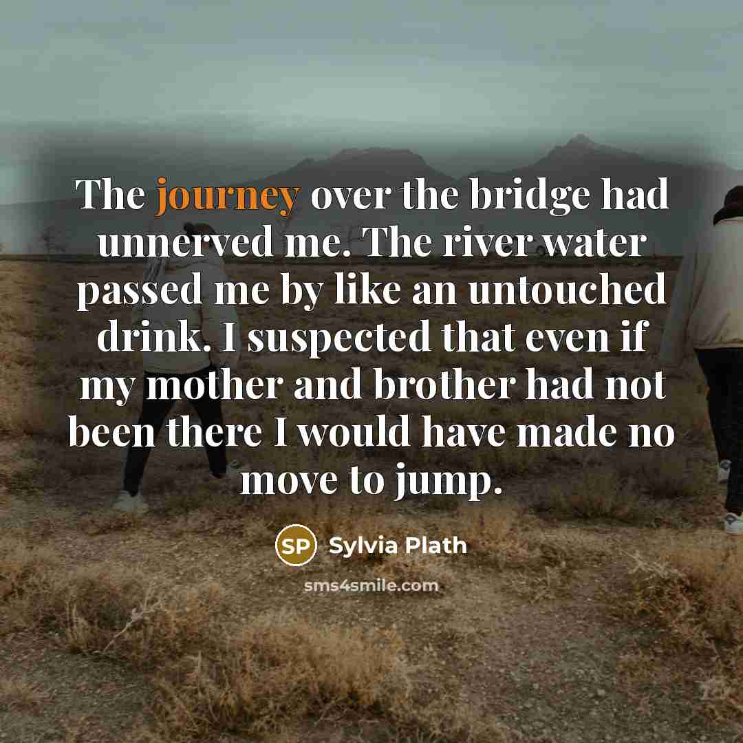 “The journey over the bridge had unnerved me. The river…” quote by Sylvia Plath