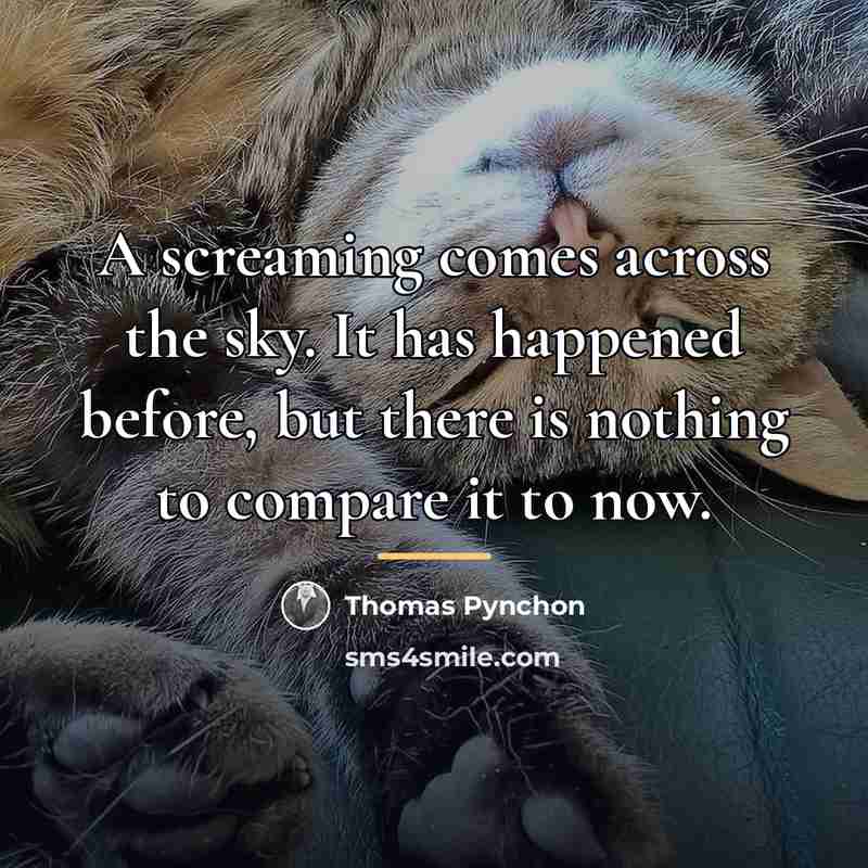 “A screaming comes across the sky. It has happened before,…” quote by Thomas Pynchon