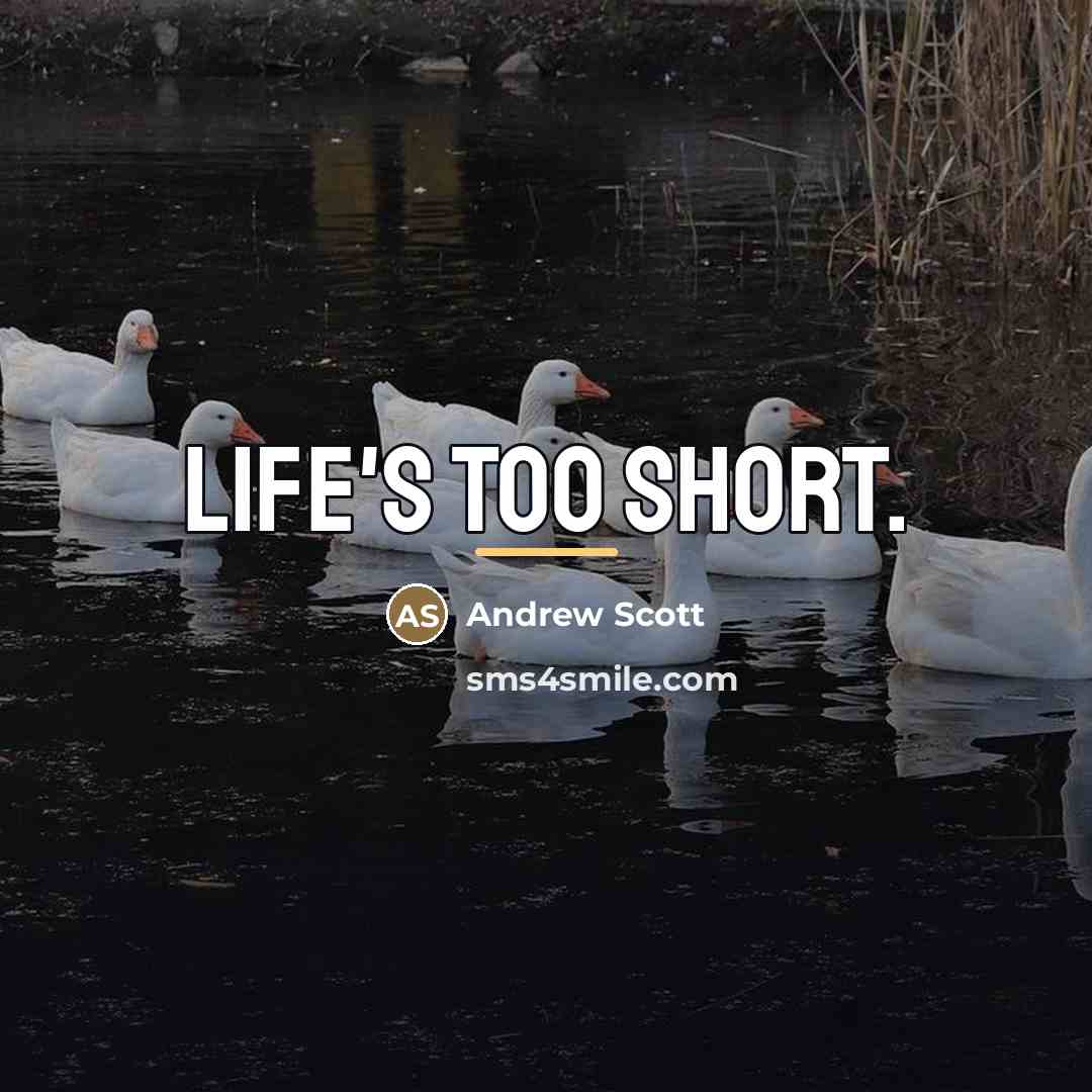 “Life's too short.…” quote by Andrew Scott