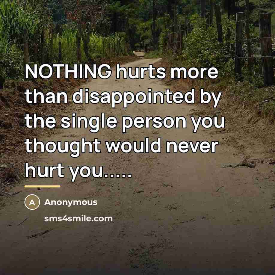“NOTHING hurts more than disappointed by the single person you…” quote by Anonymous