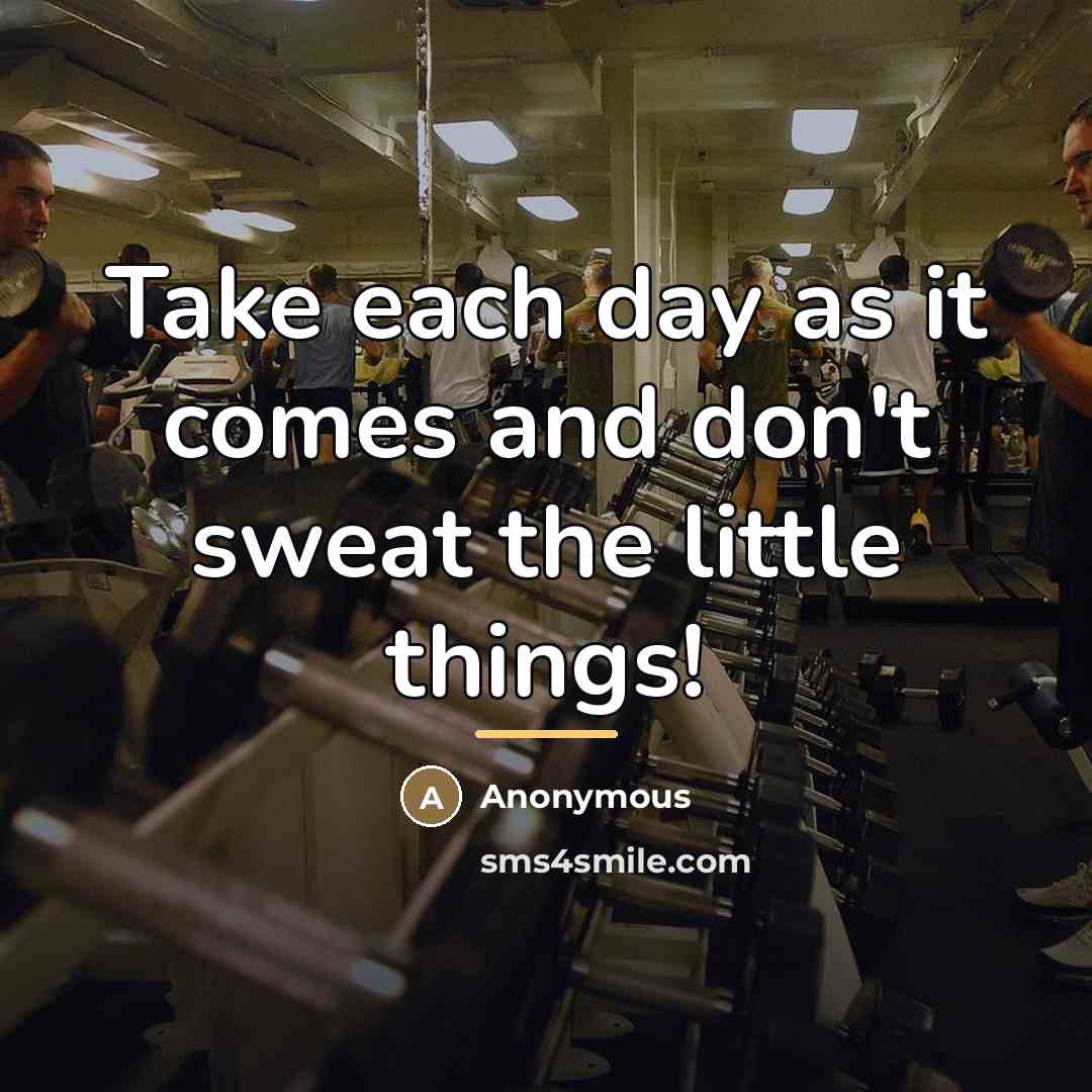 “Take each day as it comes and don't sweat the…” quote by Anonymous