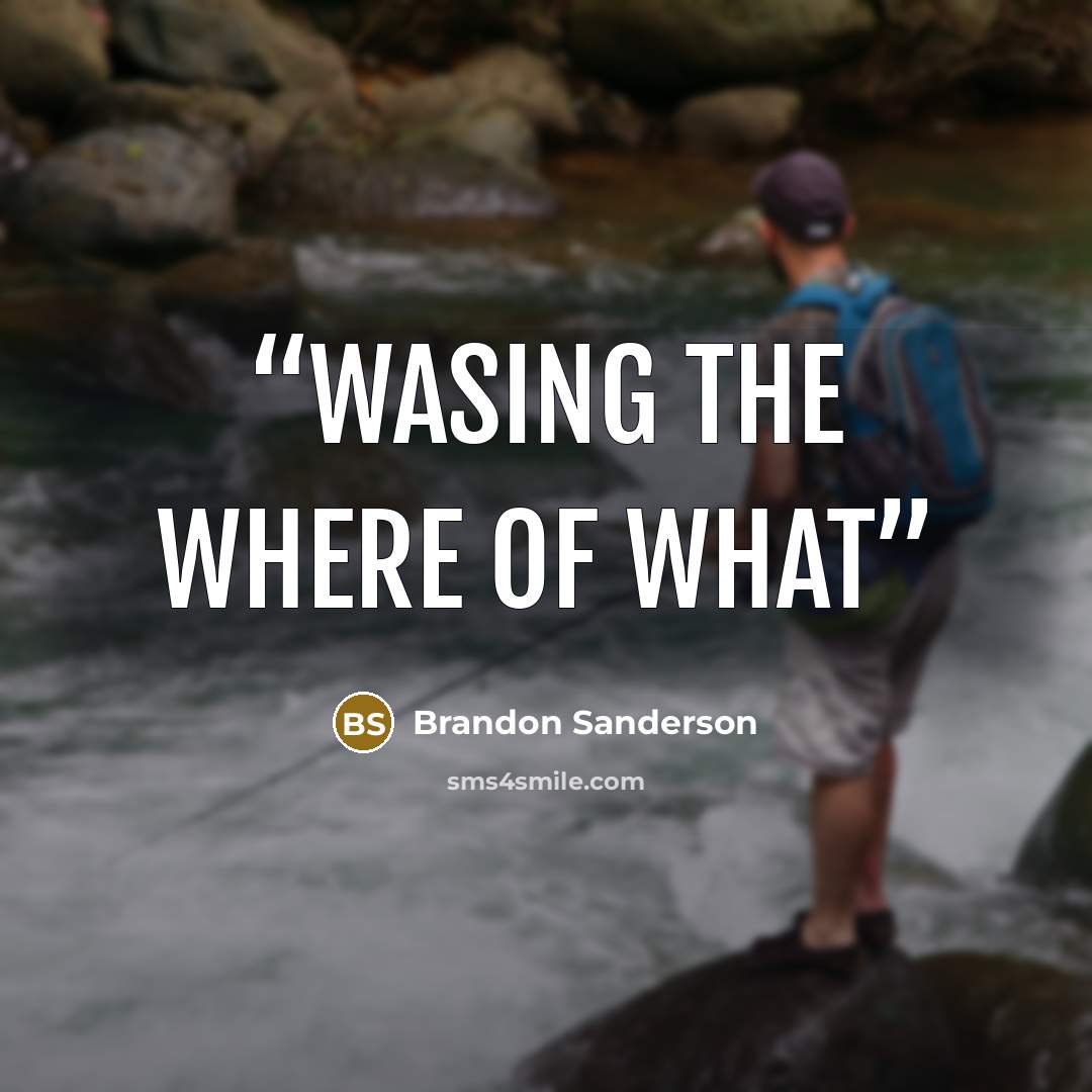 “Wasing the where of what” quote by Brandon Sanderson
