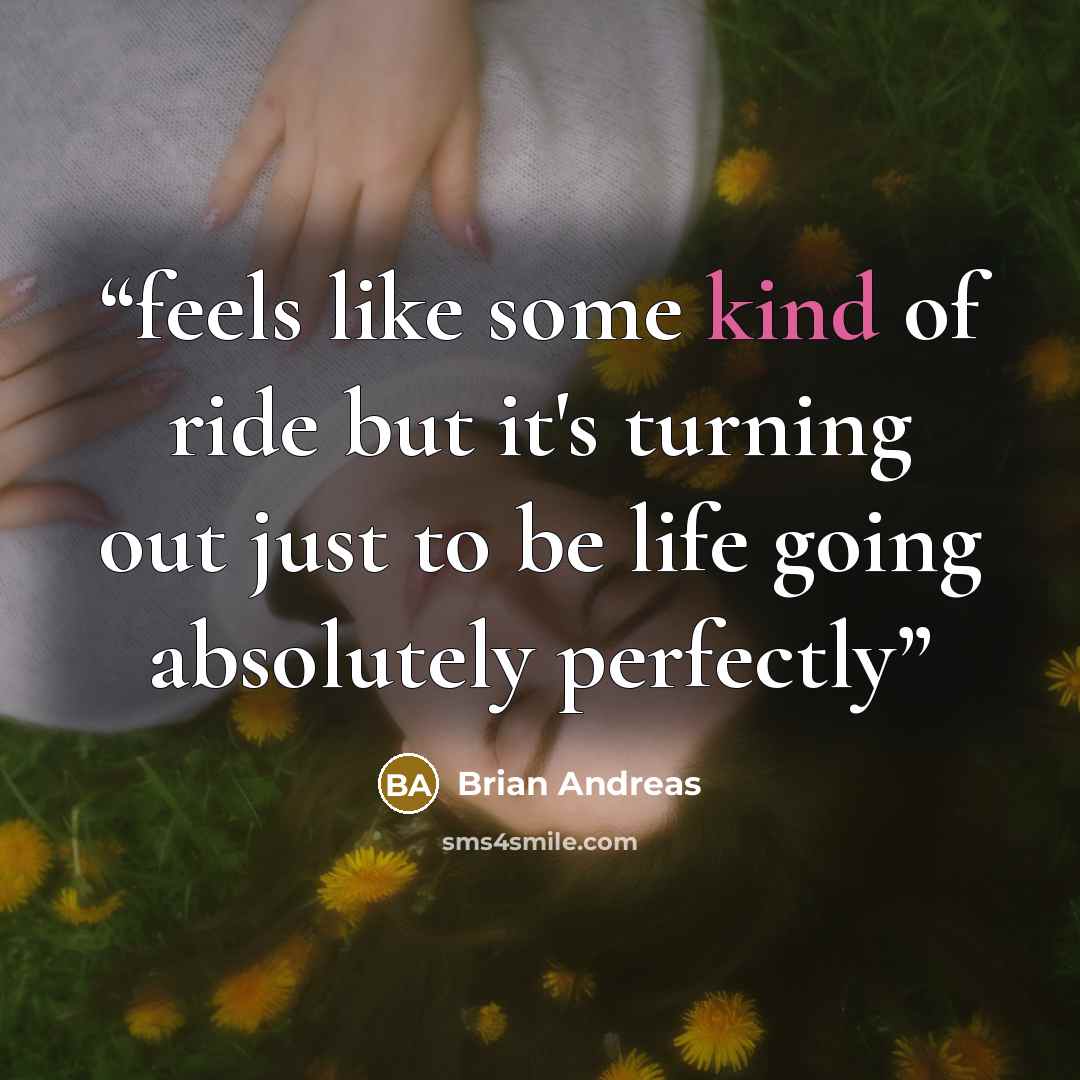 “feels like some kind of ride but it's turning out just to be life going absolutely perfectly” quote by Brian Andreas