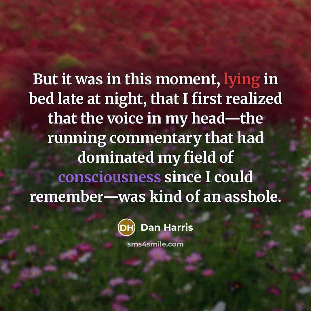 “But it was in this moment, lying in bed late…” quote by Dan Harris