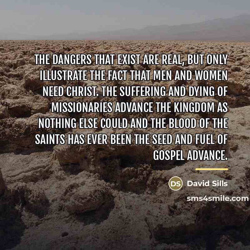 “The dangers that exist are real, but only illustrate the…” quote by David Sills