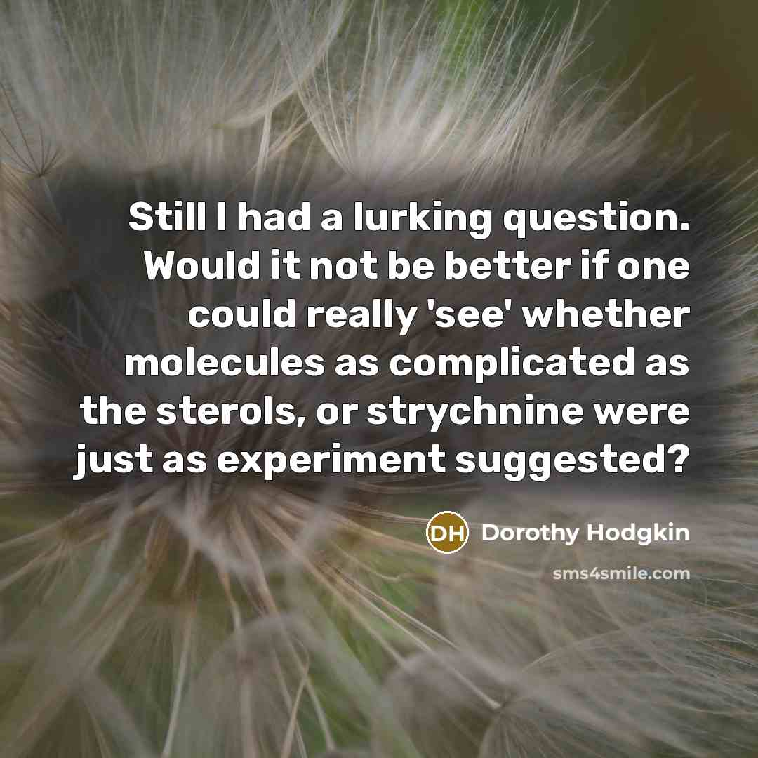 “Still I had a lurking question. Would it not be…” quote by Dorothy Hodgkin