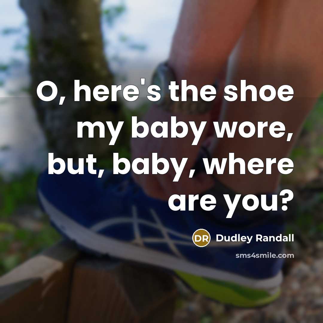 “O, here's the shoe my baby wore, but, baby, where…” quote by Dudley Randall