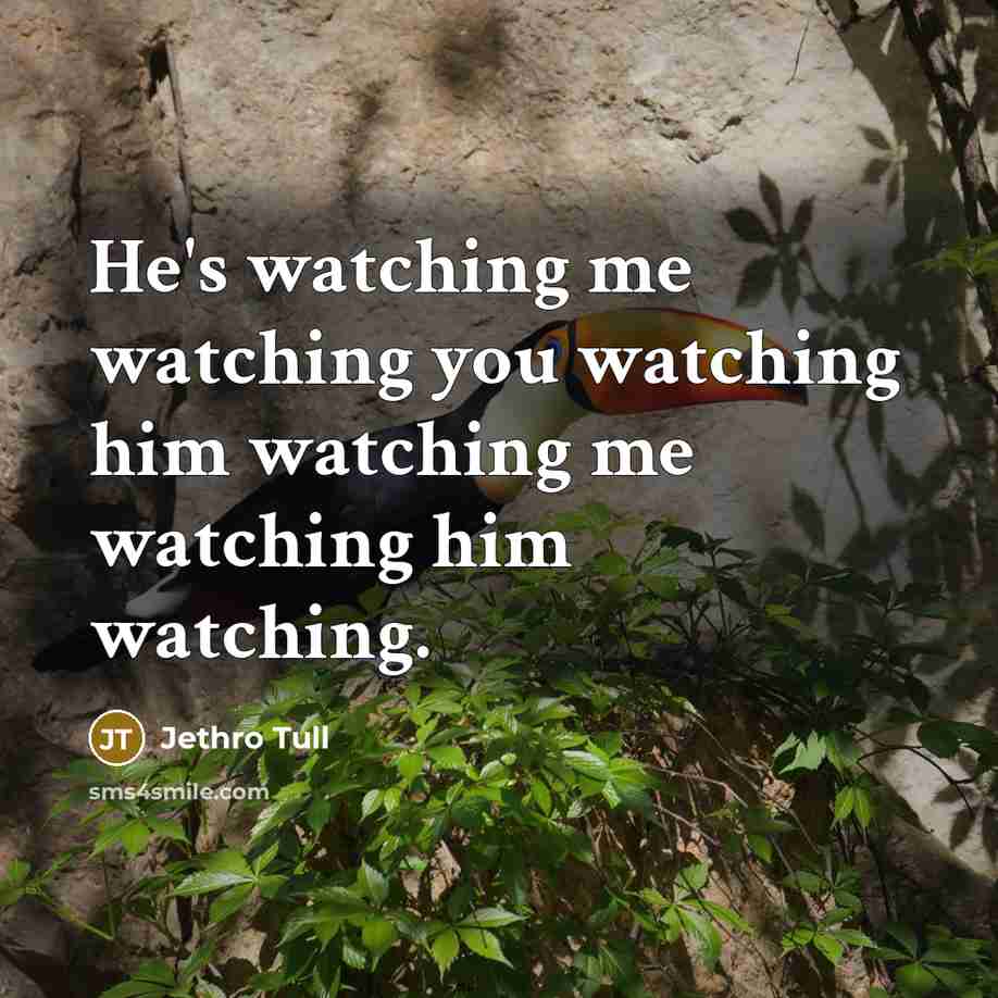“He's watching me watching you watching him watching me watching…” quote by Jethro Tull