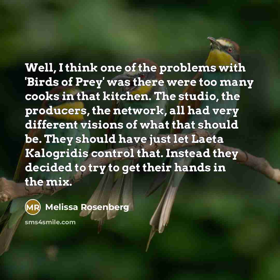 “Well, I think one of the problems with 'Birds of…” quote by Melissa Rosenberg