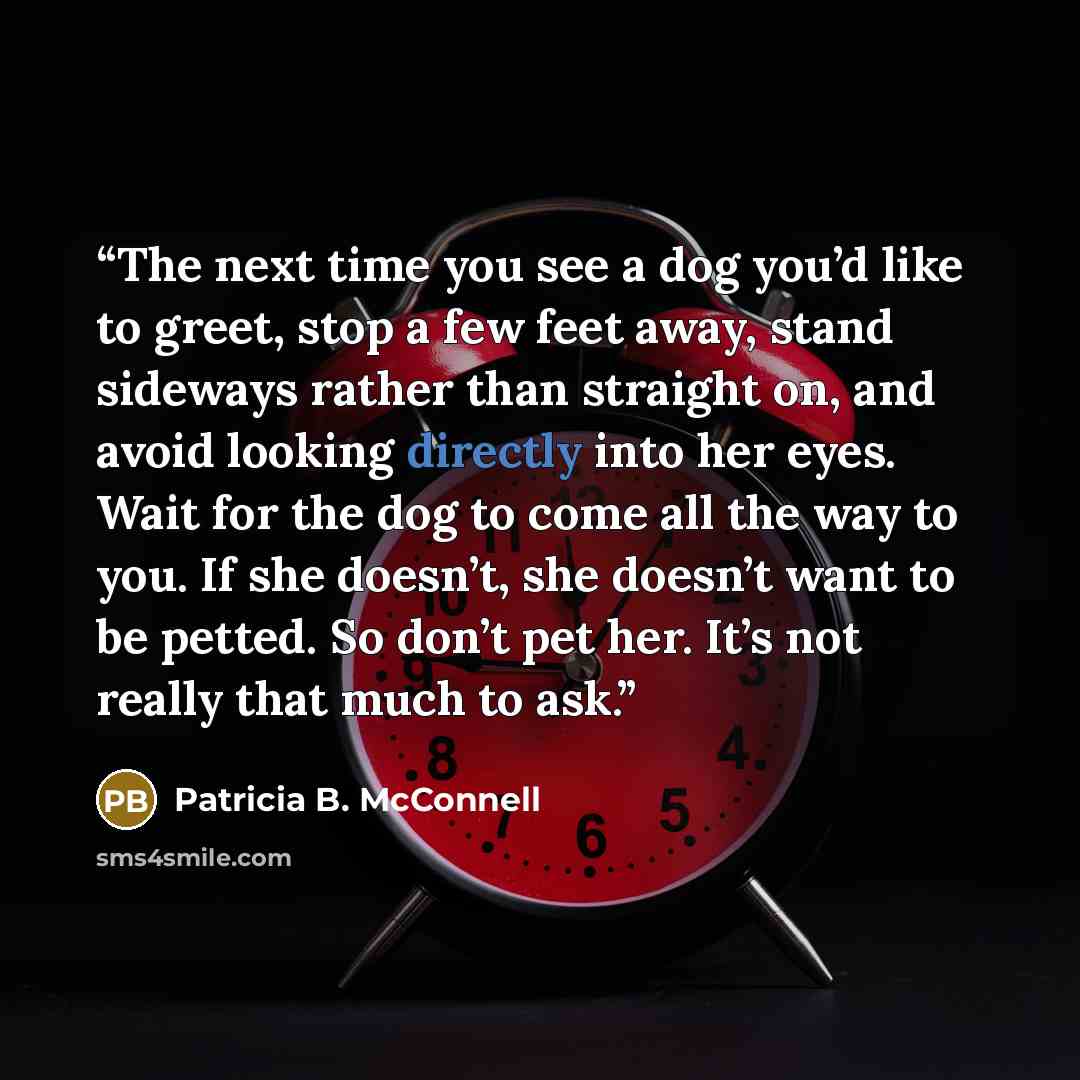 “The next time you see a dog you’d like to greet, stop a few feet away, stand sideways rather than straight on, and avoid looking directly into her eyes. Wait for the dog to come all the way to you. If she doesn’t, she doesn’t want to be petted. So don’t pet her. It’s not really that much to ask.” quote by Patricia B. McConnell