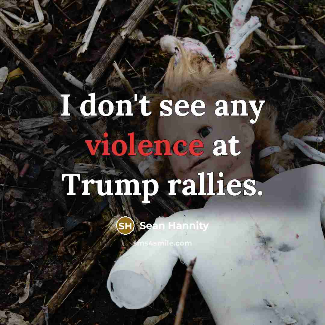 “I don't see any violence at Trump rallies.…” quote by Sean Hannity