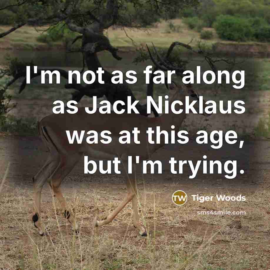 “I'm not as far along as Jack Nicklaus was at…” quote by Tiger Woods