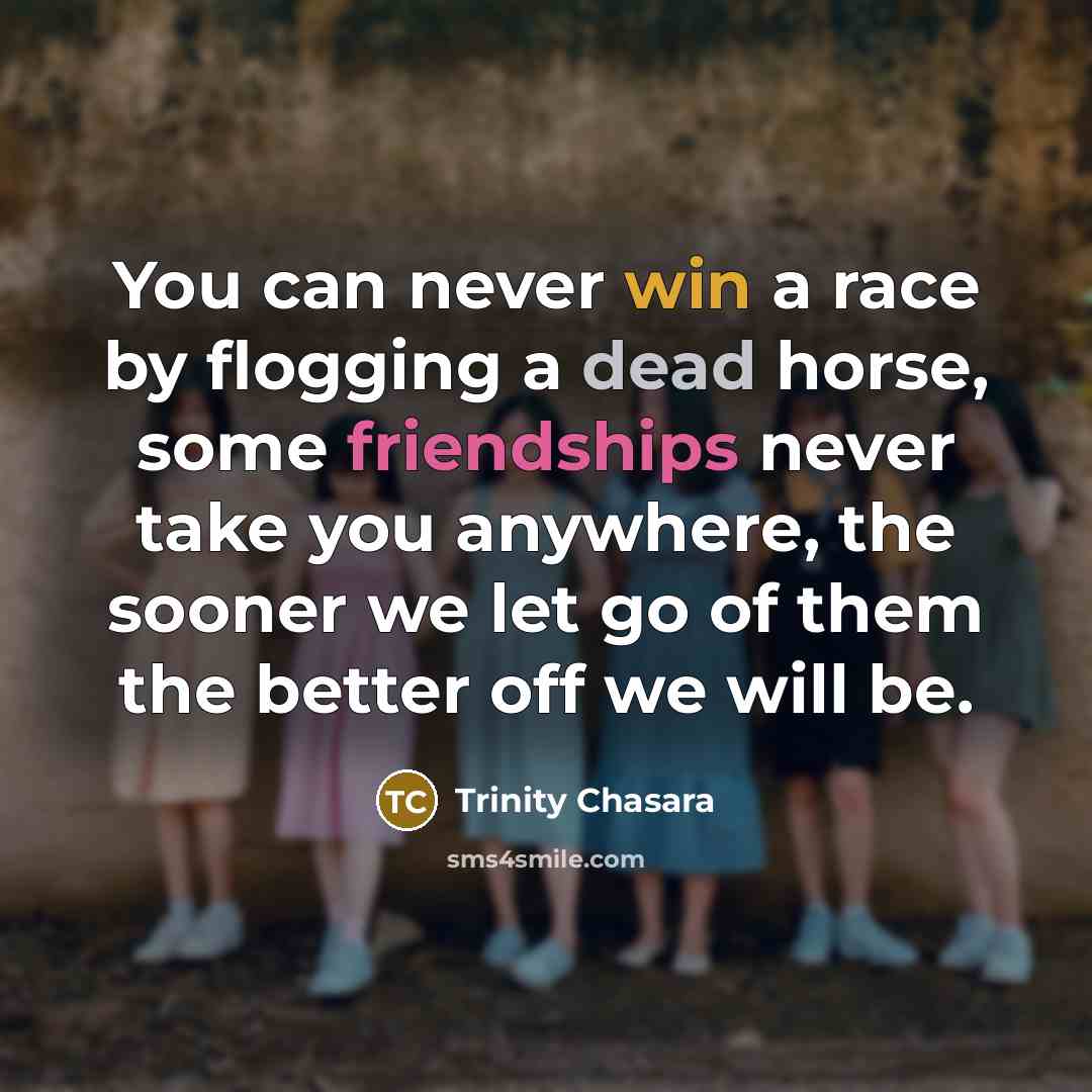 “You can never win a race by flogging a dead horse, some friendships never take you anywhere, the sooner we let go of them the better off we will be.” quote by Trinity Chasara