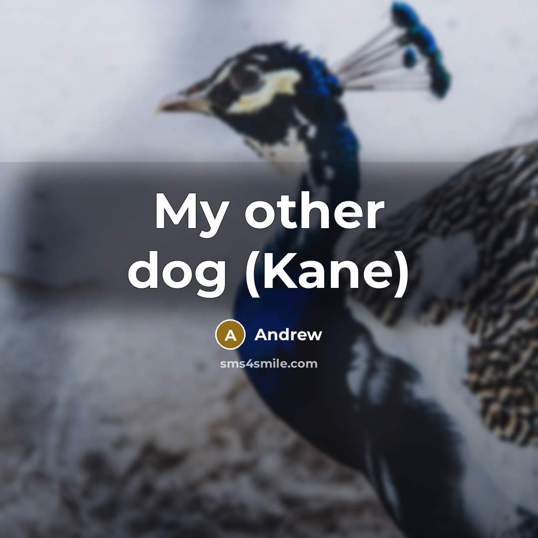 “My other dog (Kane)” quote by Andrew