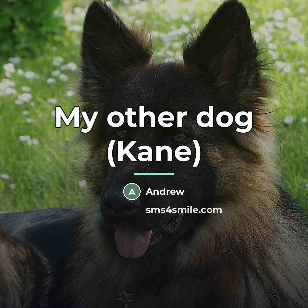 “My other dog (Kane)…” quote by Andrew