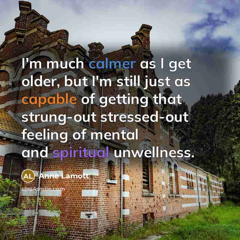 “I'm much calmer as I get older, but I'm still just as capable of getting that strung-out stressed-out feeling of mental and spiritual unwellness.” quote by Anne Lamott