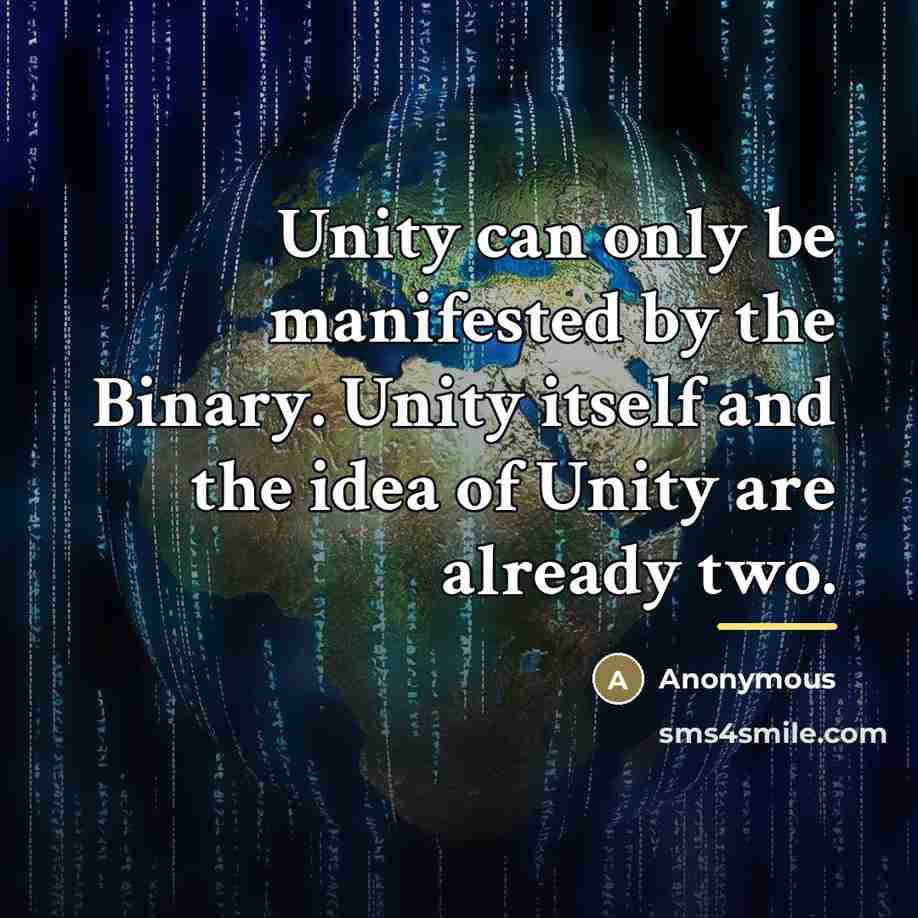 “Unity can only be manifested by the Binary. Unity itself…” quote by Anonymous