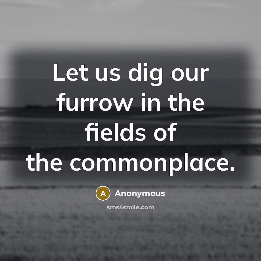 “Let us dig our furrow in the fields of the…” quote by Anonymous