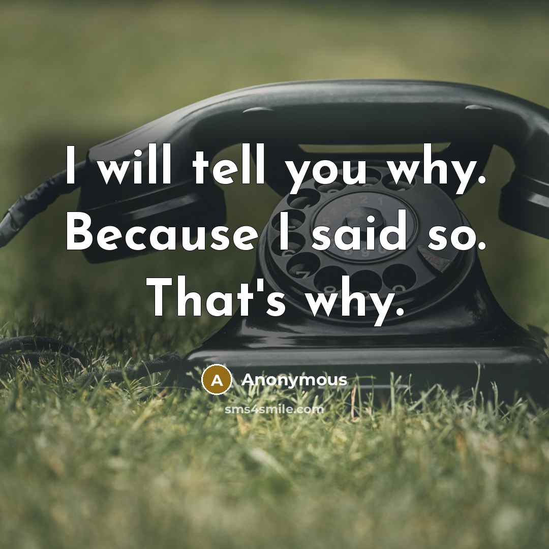 “I will tell you why. Because I said so. That's why.” quote by Anonymous