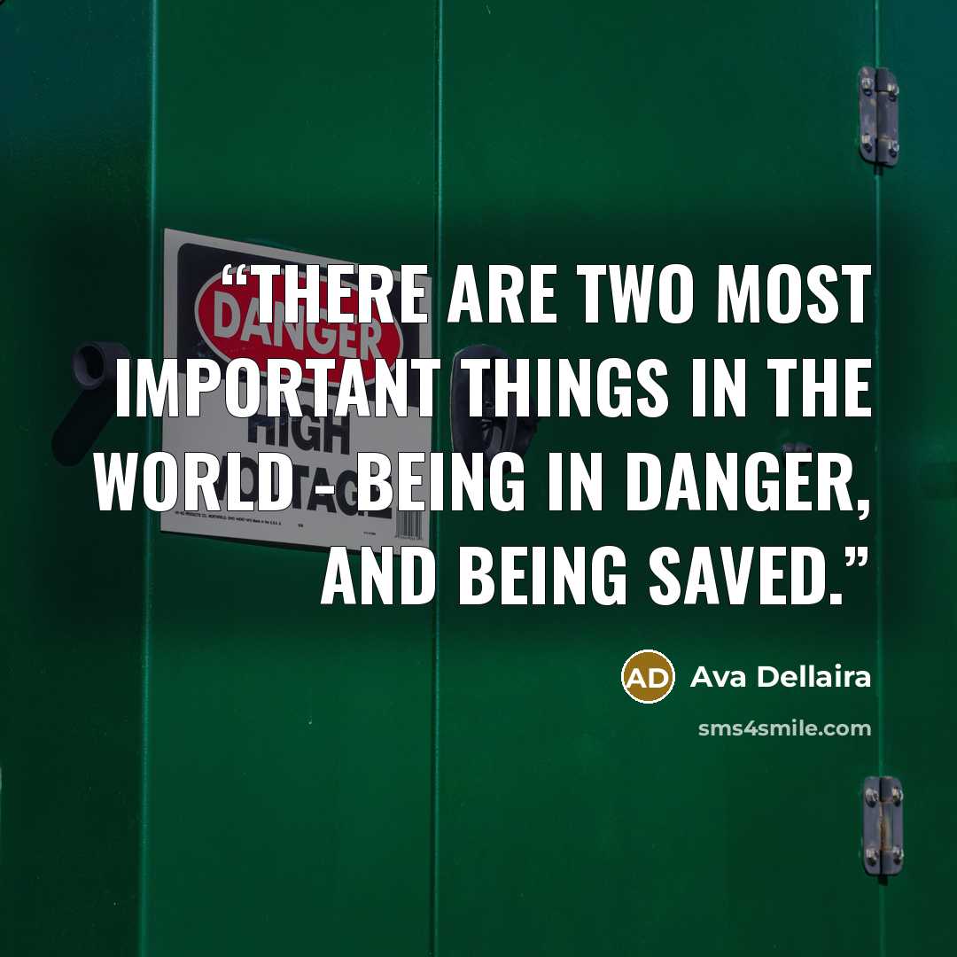 “There are two most important things in the world - being in danger, and being saved.” quote by Ava Dellaira