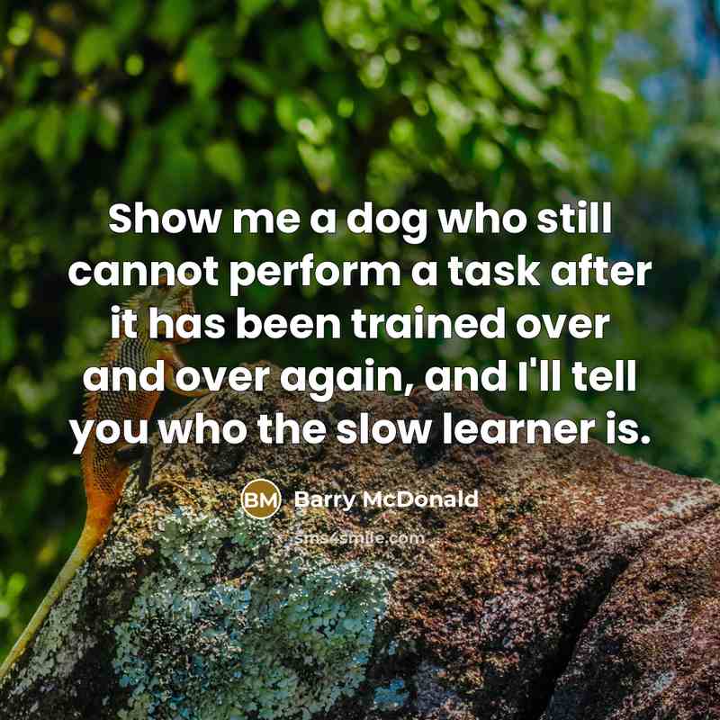 “Show me a dog who still cannot perform a task after it has been trained over and over again, and I'll tell you who the slow learner is.” quote by Barry McDonald