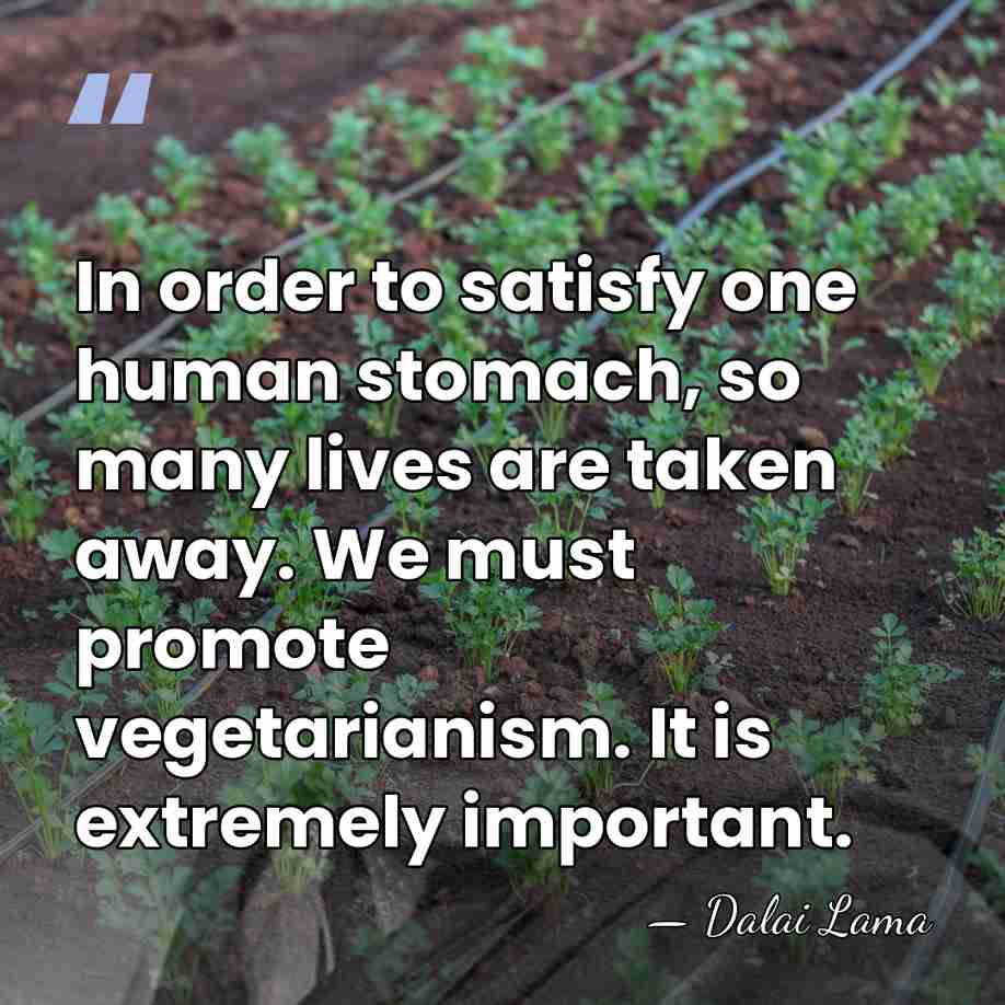 In order to satisfy one human stomach, so many lives are taken&hellip; - Dalai Lama