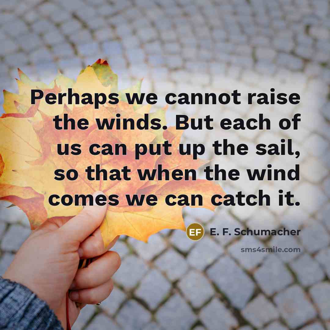 “Perhaps we cannot raise the winds. But each of us…” quote by E. F. Schumacher