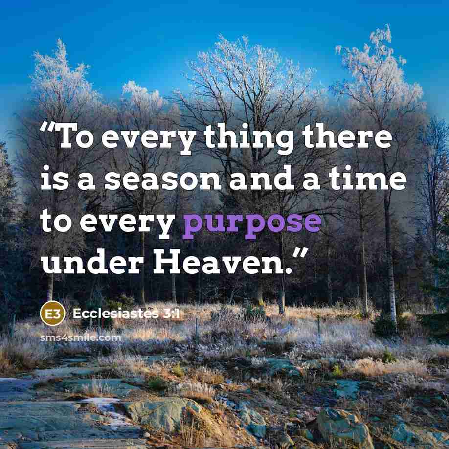 “To every thing there is a season and a time to every purpose under Heaven.” quote by Ecclesiastes 3:1