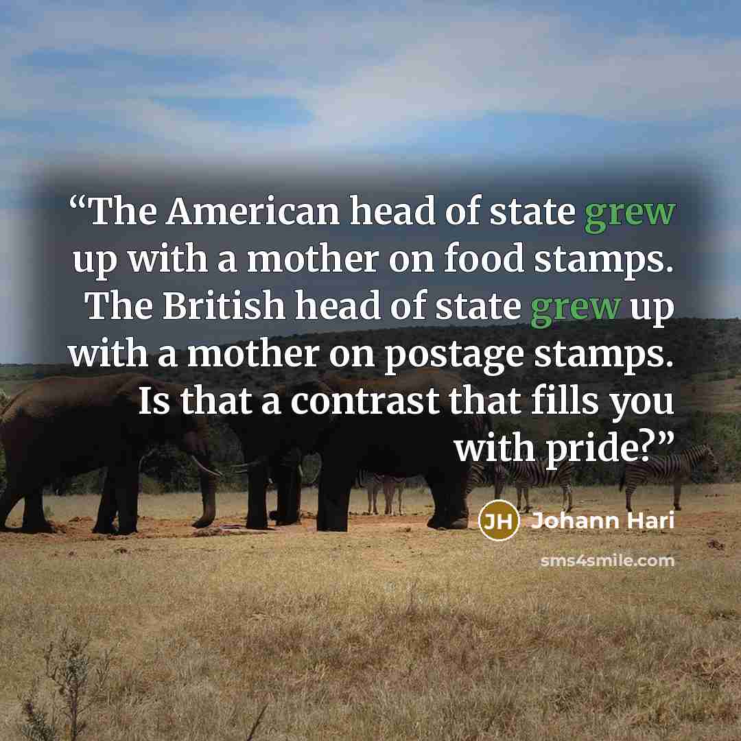 “The American head of state grew up with a mother on food stamps. The British head of state grew up with a mother on postage stamps. Is that a contrast that fills you with pride?” quote by Johann Hari