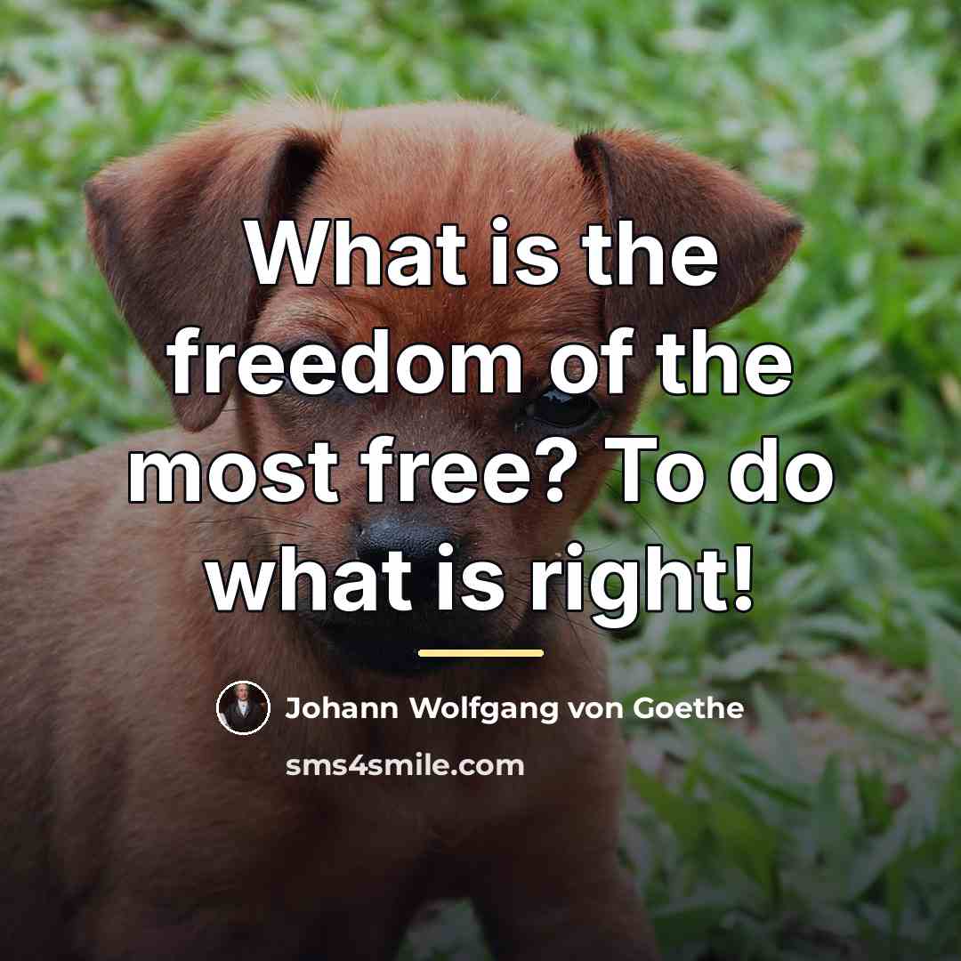 “What is the freedom of the most free? To do…” quote by Johann Wolfgang von Goethe