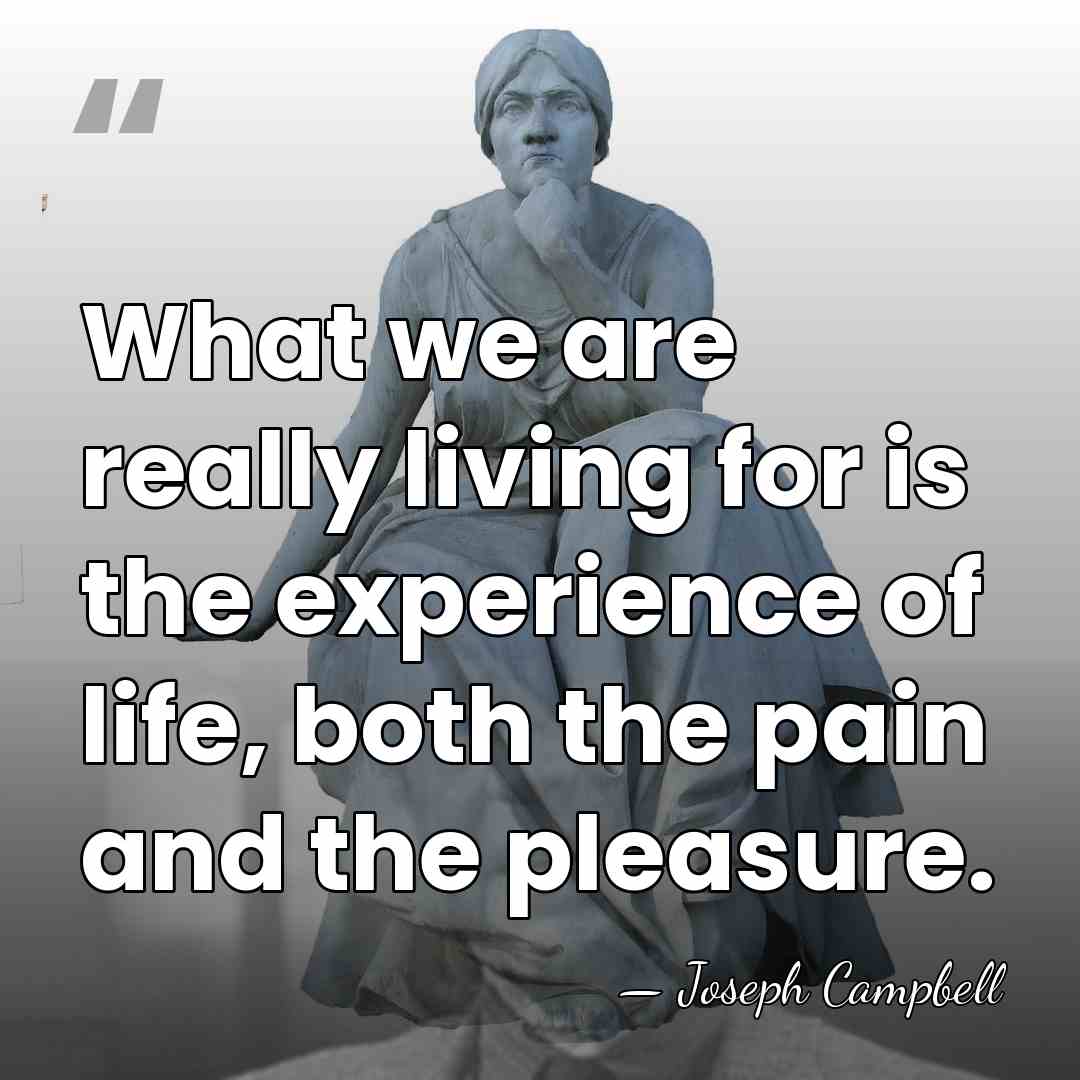 What we are really living for is the experience of life, both&hellip; - Joseph Campbell