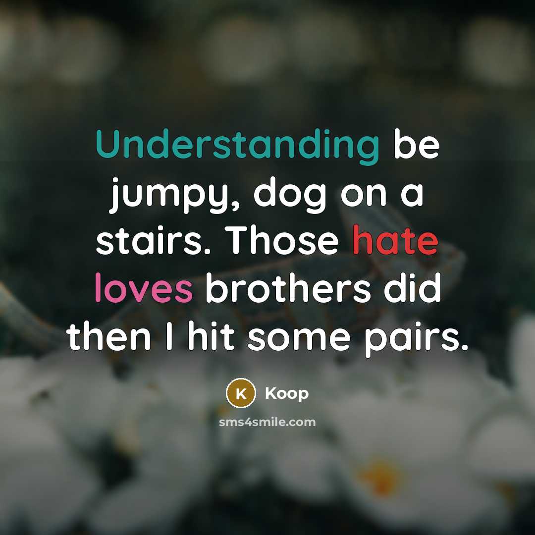 “Understanding be jumpy, dog on a stairs. Those hate loves brothers did then I hit some pairs.” quote by Koop