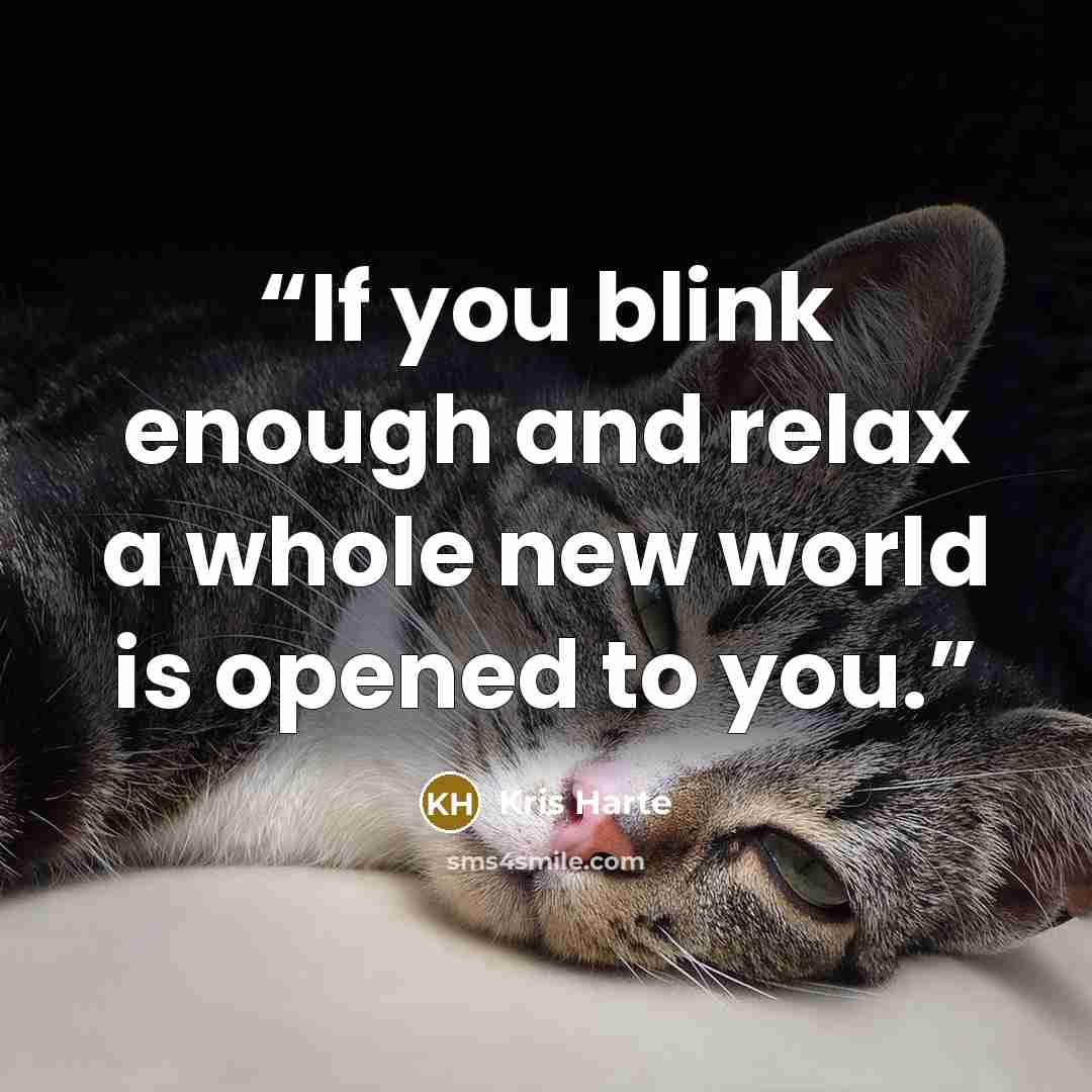 “If you blink enough and relax a whole new world is opened to you.” quote by Kris Harte