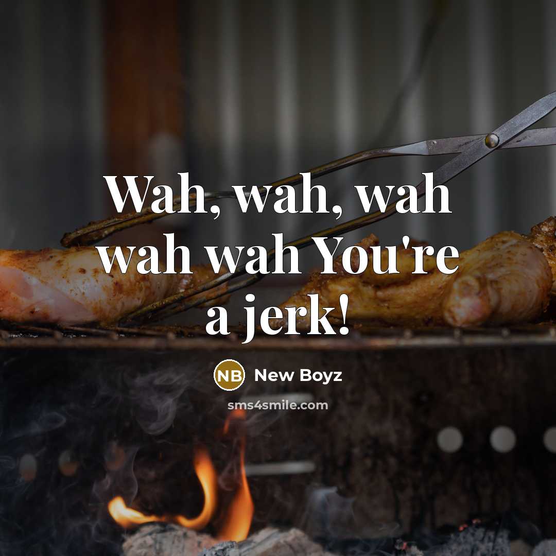 “Wah, wah, wah wah wah You're a jerk!” quote by New Boyz