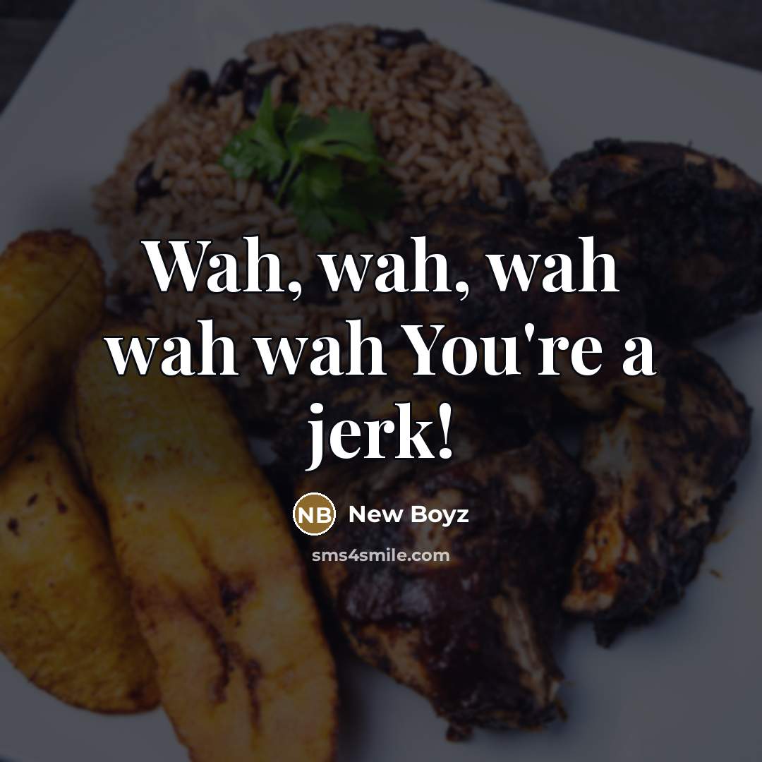 “Wah, wah, wah wah wah You're a jerk!…” quote by New Boyz