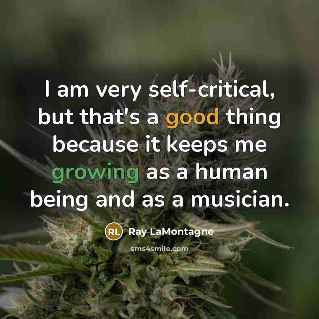 “I am very self-critical, but that's a good thing because…” quote by Ray LaMontagne