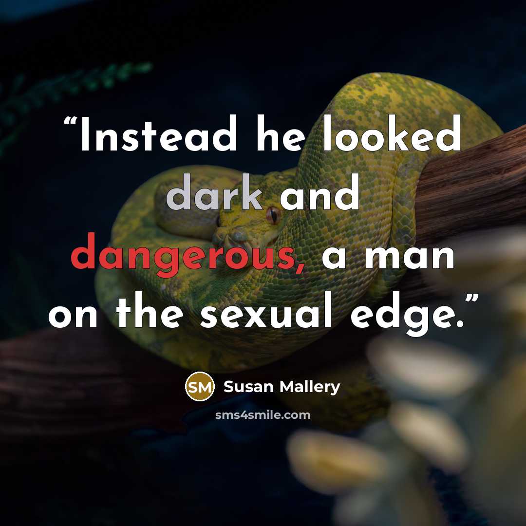 “Instead he looked dark and dangerous, a man on the sexual edge.” quote by Susan Mallery