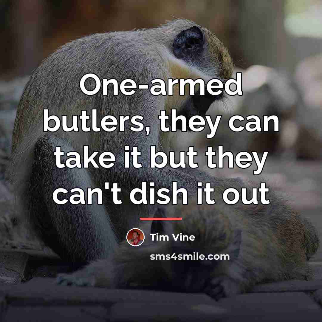 “One-armed butlers, they can take it but they can't dish…” quote by Tim Vine