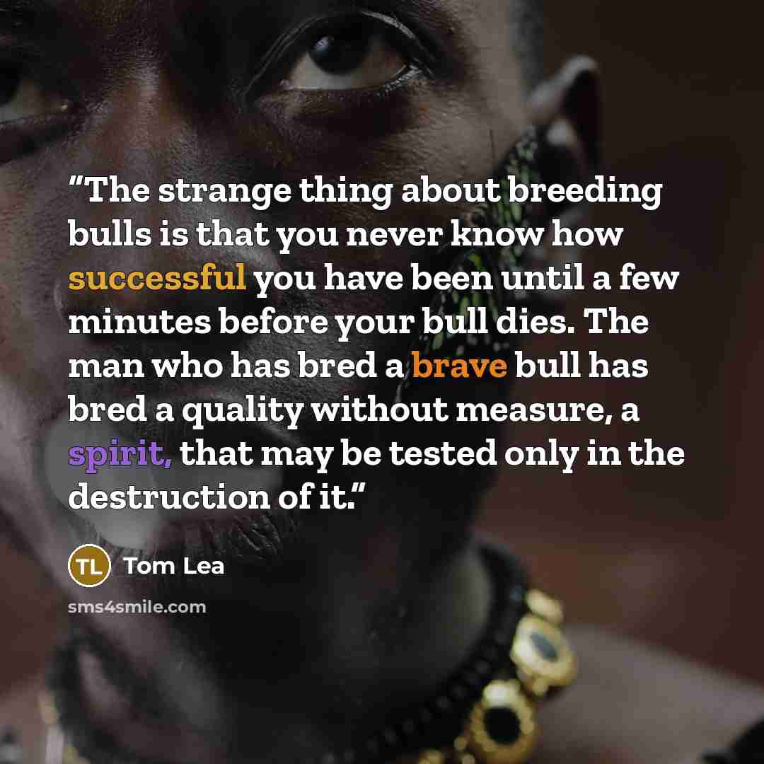 “The strange thing about breeding bulls is that you never know how successful you have been until a few minutes before your bull dies. The man who has bred a brave bull has bred a quality without measure, a spirit, that may be tested only in the destruction of it.” quote by Tom Lea