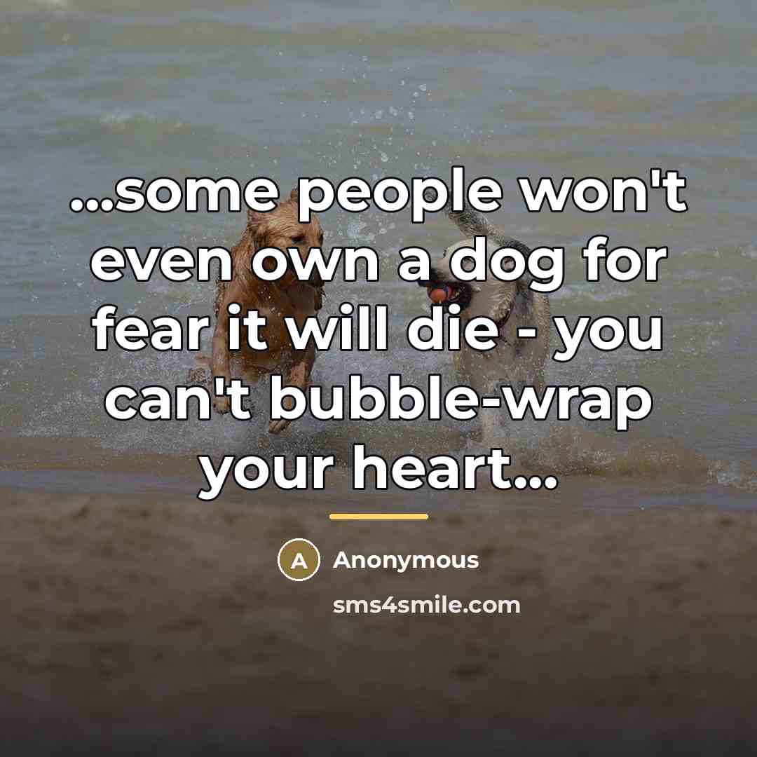 “...some people won't even own a dog for fear it…” quote by Anonymous
