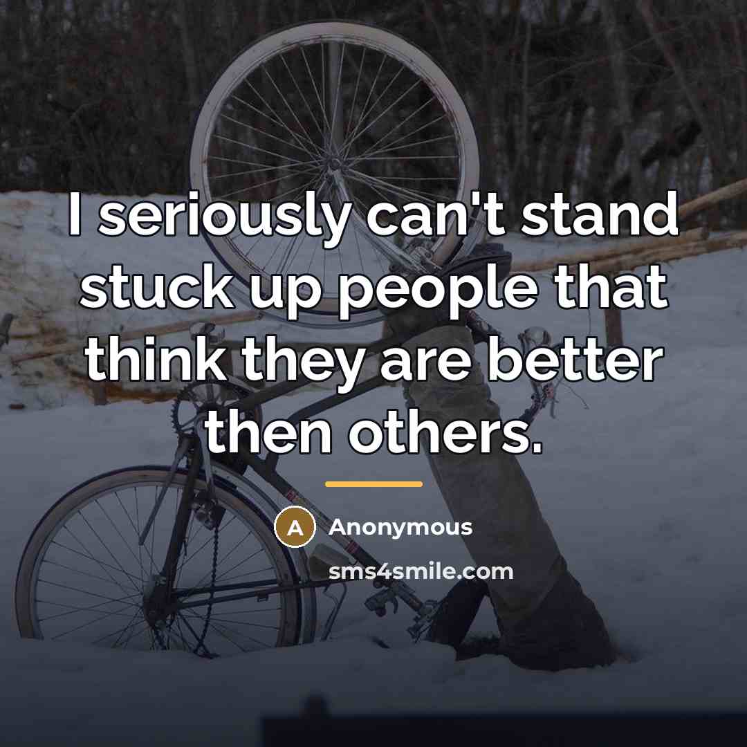 “I seriously can't stand stuck up people that think they…” quote by Anonymous