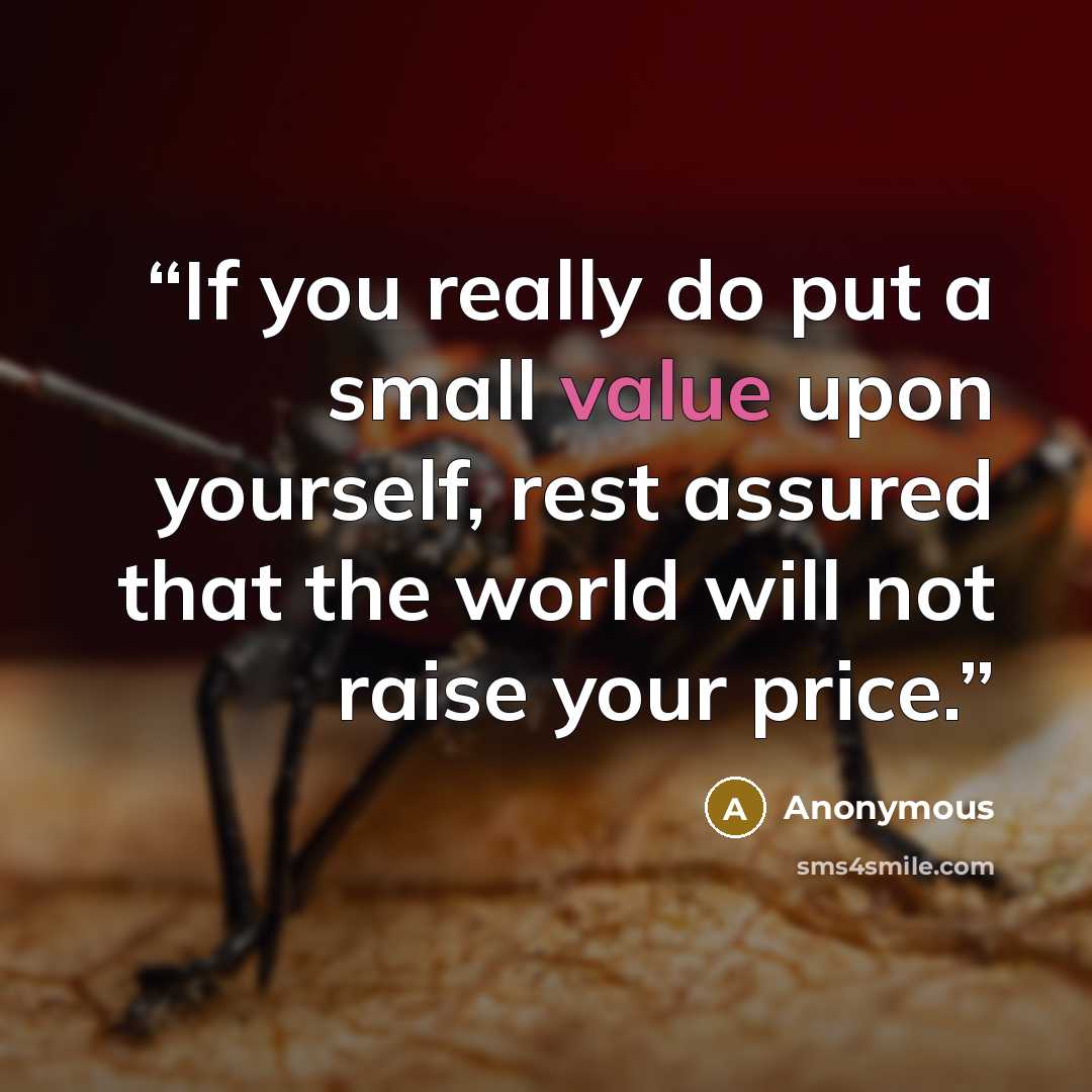 “If you really do put a small value upon yourself, rest assured that the world will not raise your price.” quote by Anonymous