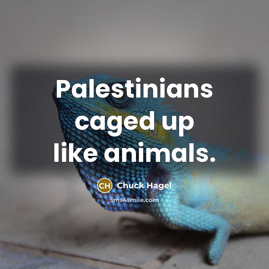 “Palestinians caged up like animals.…” quote by Chuck Hagel