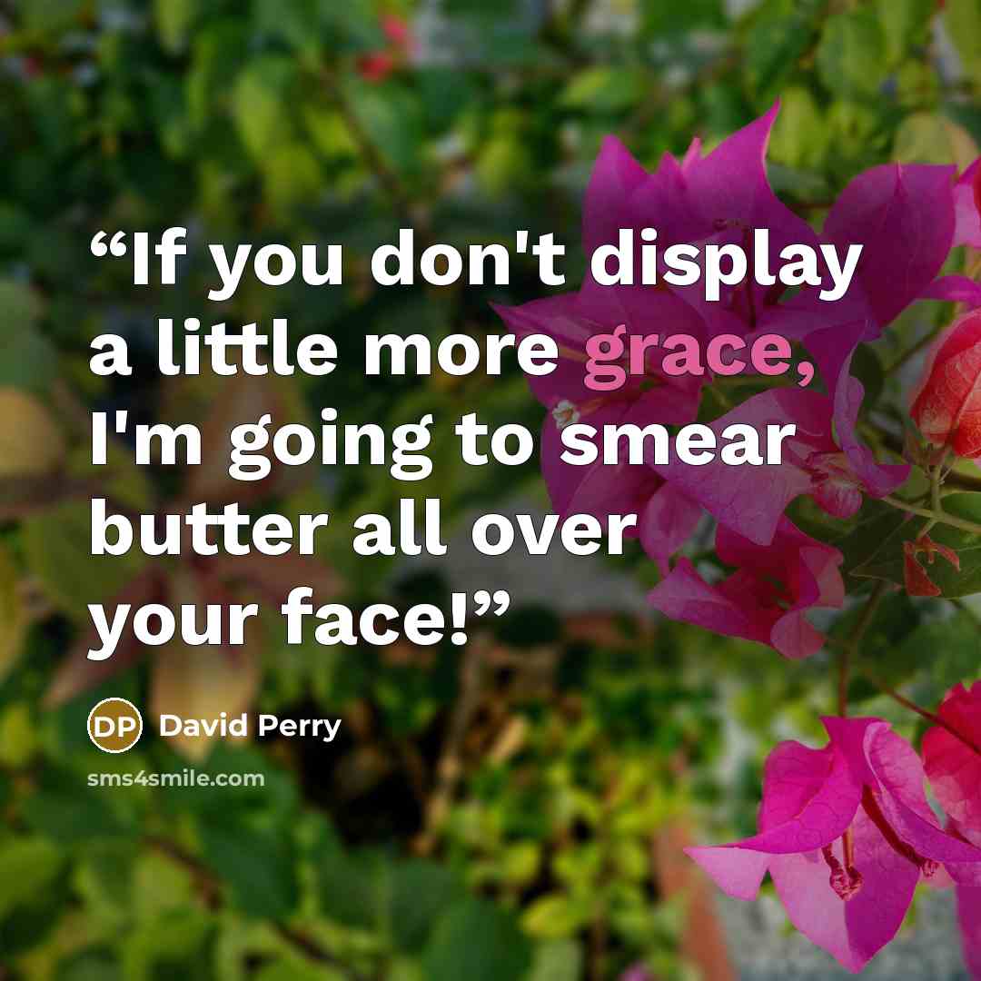 “If you don't display a little more grace, I'm going to smear butter all over your face!” quote by David Perry