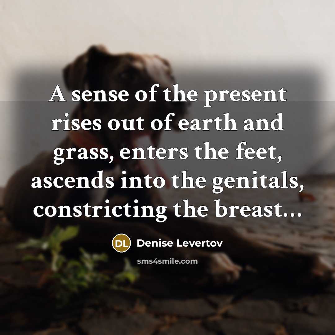 “A sense of the present rises out of earth and…” quote by Denise Levertov