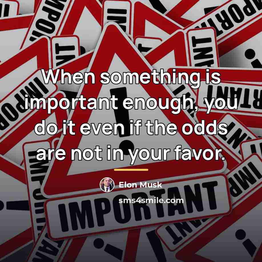 “When something is important enough, you do it even if…” quote by Elon Musk