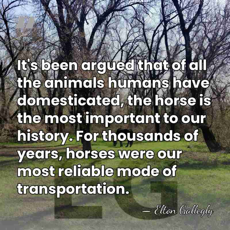 It's been argued that of all the animals humans have domesticated, the&hellip; - Elton Gallegly